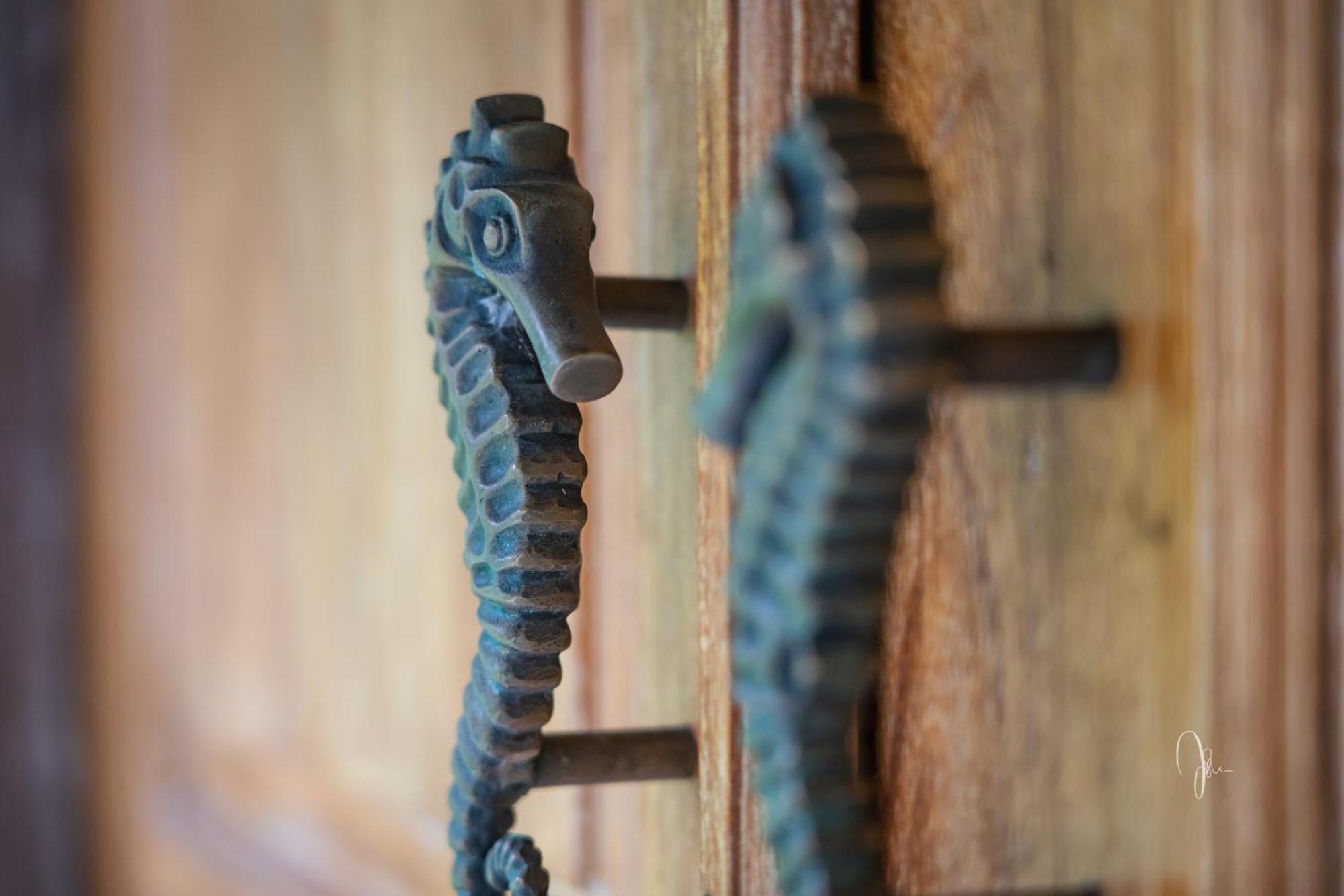 Kuda Laut Bungalows & Diving Pemuteran Zewnętrze zdjęcie