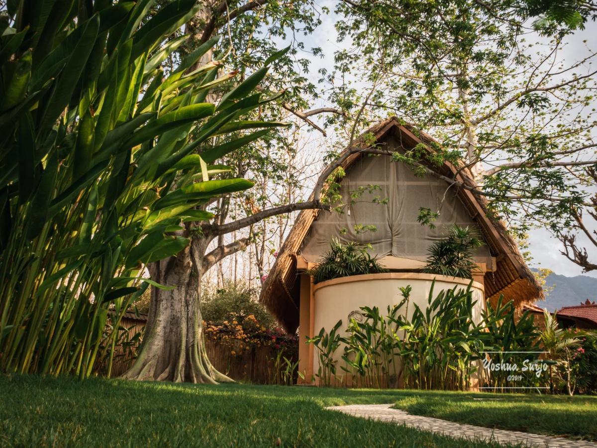 Kuda Laut Bungalows & Diving Pemuteran Zewnętrze zdjęcie